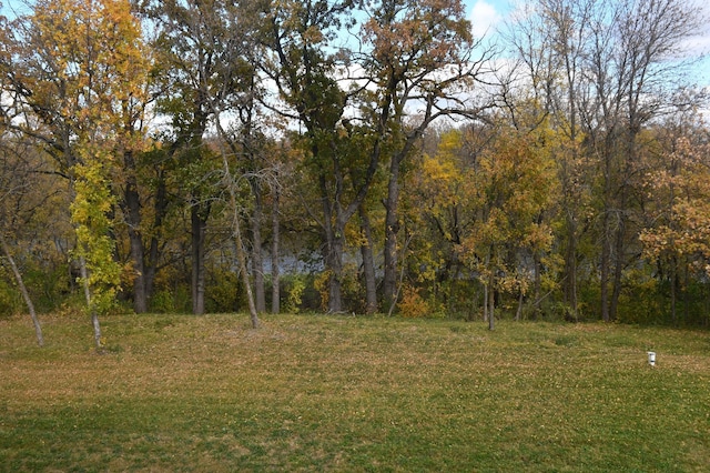 12424 126th Ave NE, Thief River Falls, MN 56701 - view of green lawn with a view of trees