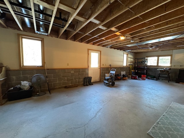 basement featuring concrete block wall