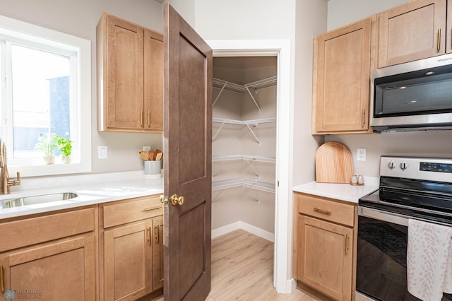 pantry featuring a sink