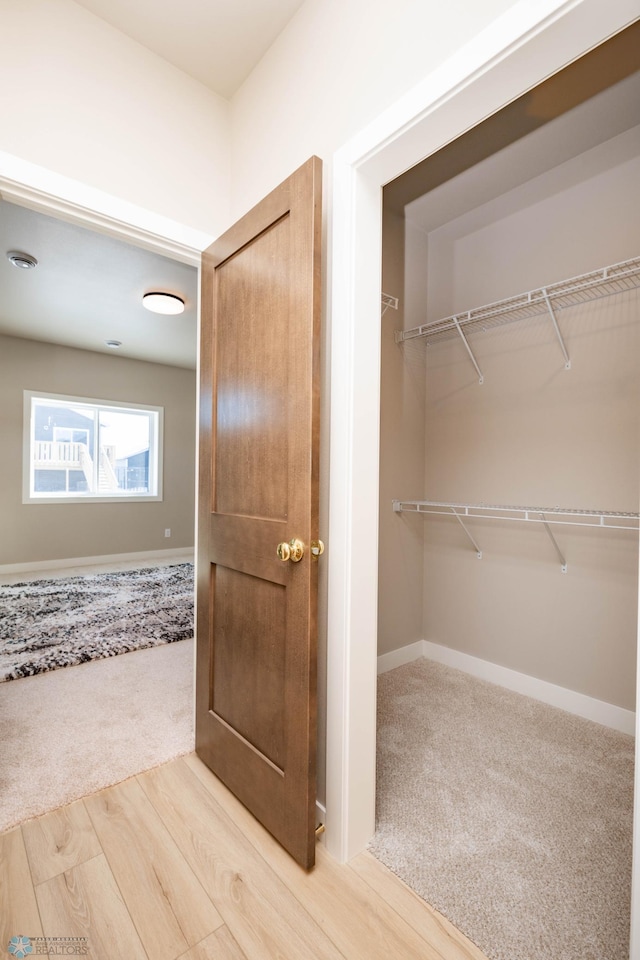 walk in closet with carpet and wood finished floors