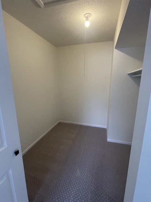 interior space featuring baseboards, carpet floors, and a textured ceiling