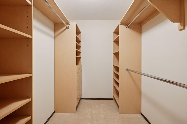 walk in closet featuring carpet