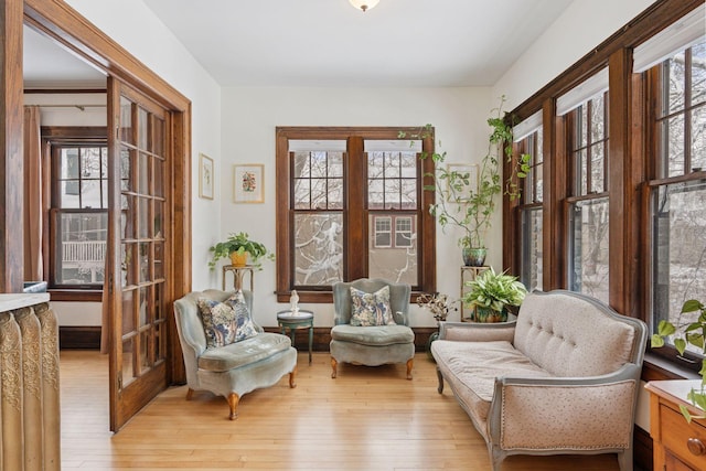 interior space with french doors, a wealth of natural light, and light wood-style floors