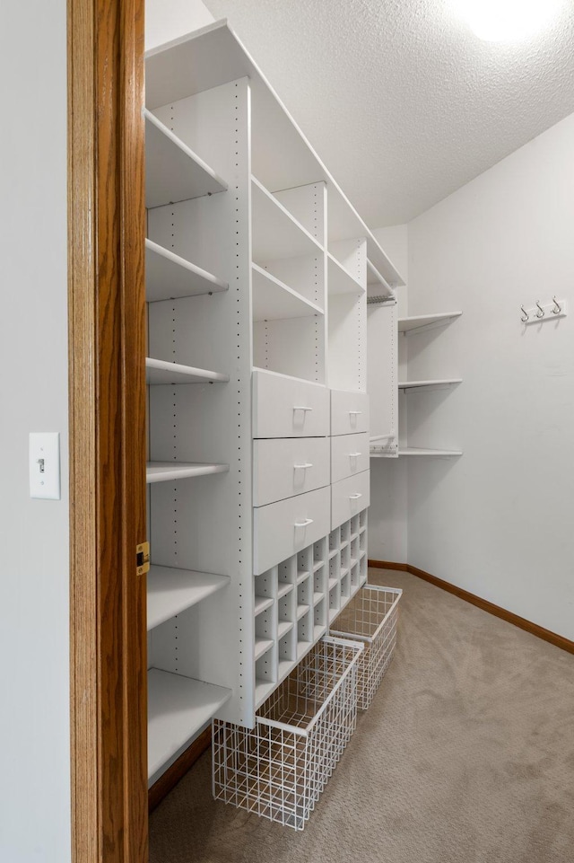 walk in closet featuring carpet