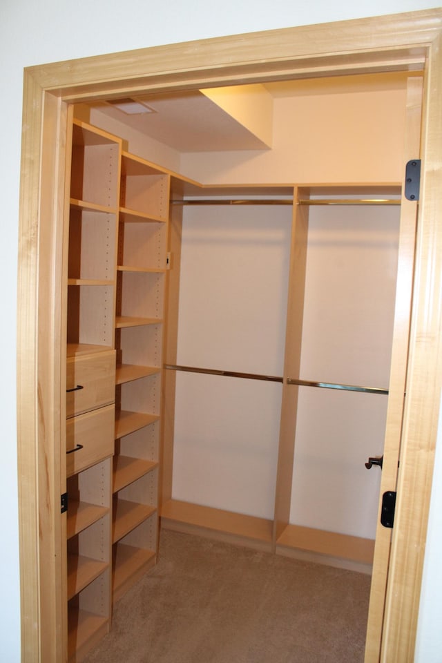 spacious closet with carpet floors