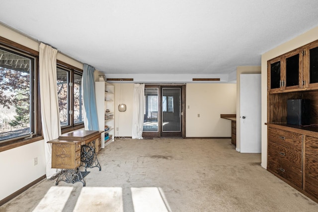 interior space featuring baseboards and light colored carpet