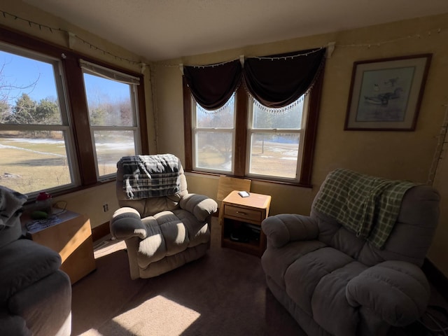 sitting room featuring carpet floors