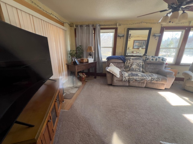 living area with carpet, ceiling fan, and a textured ceiling