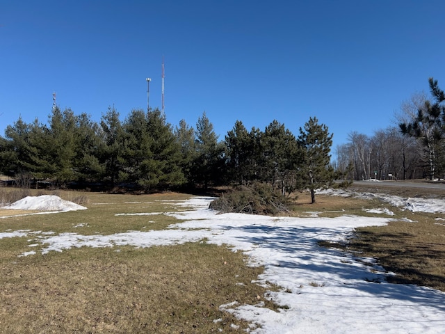 view of yard layered in snow