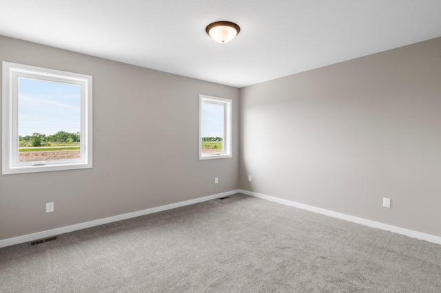 1003 Misty Meadow Blvd, Buffalo, MN 55313 - unfurnished room featuring carpet floors and baseboards