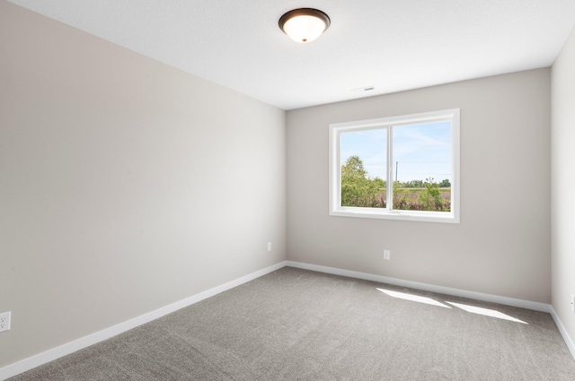1003 Misty Meadow Blvd, Buffalo, MN 55313 - carpeted empty room with baseboards