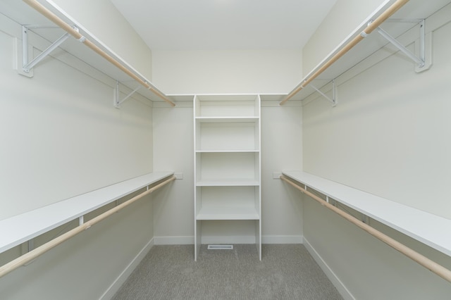 spacious closet with carpet