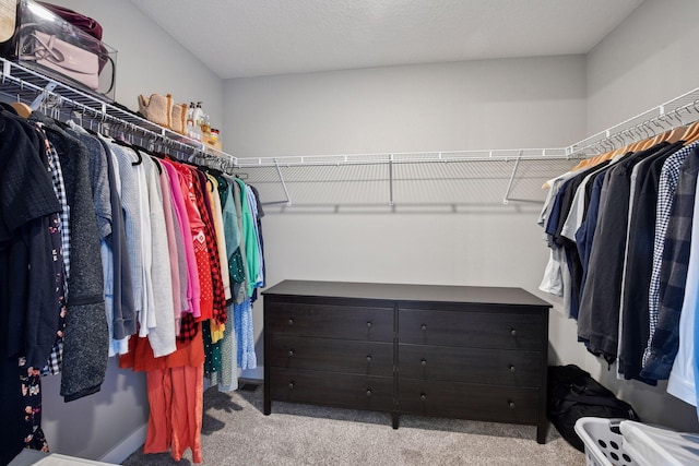 spacious closet featuring carpet floors