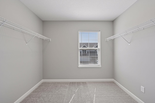 8730 Parkington Ave NE, Otsego, MN 55330 - spacious closet with carpet