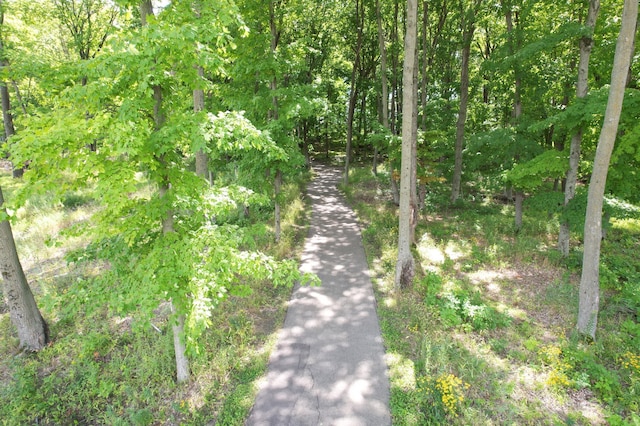 view of road featuring a wooded view