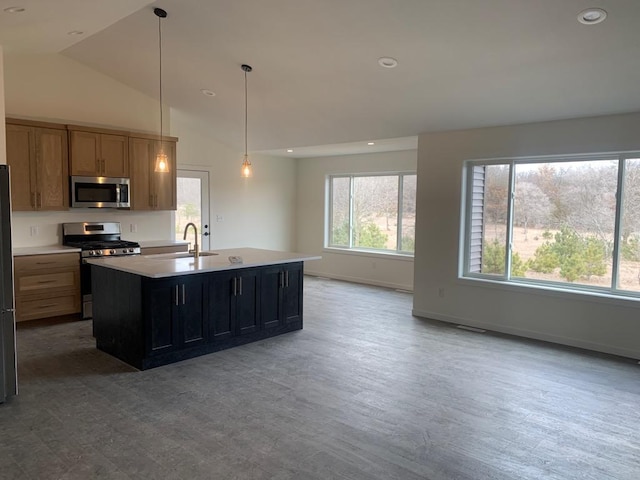 kitchen with a sink, a kitchen island with sink, stainless steel appliances, light countertops, and a wealth of natural light