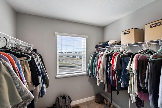 walk in closet featuring carpet floors