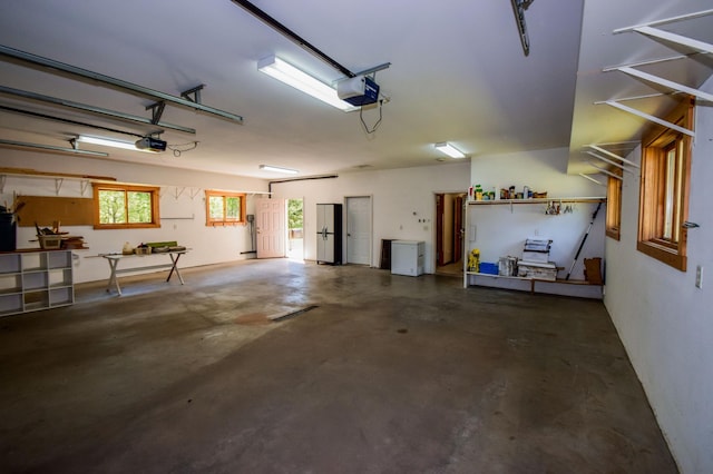15633 Explorer Ln, Park Rapids, MN 56470 - garage with a garage door opener and freestanding refrigerator