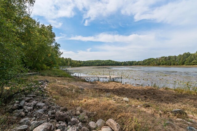 21574 Hedgerow Ln, Nevis, MN 56467 - photo 17