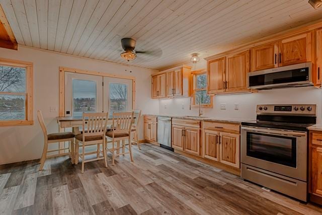 kitchen featuring light wood-style flooring, appliances with stainless steel finishes, light countertops, and a sink