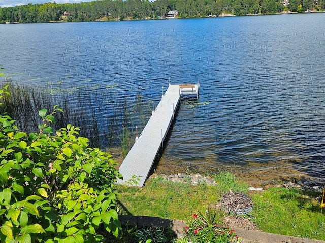 dock area with a water view