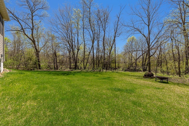 view of green lawn