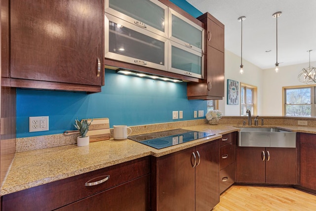 kitchen with black electric stovetop, a sink, glass insert cabinets, light wood-type flooring, and dark brown cabinetry