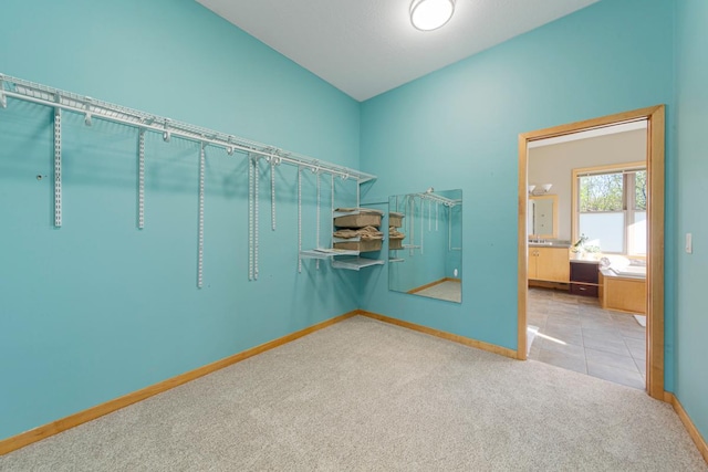 walk in closet featuring carpet floors