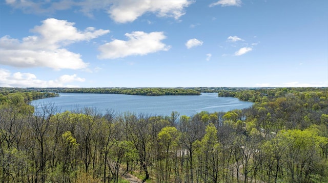 water view with a forest
