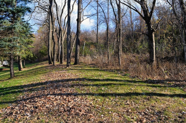 view of yard featuring a wooded view