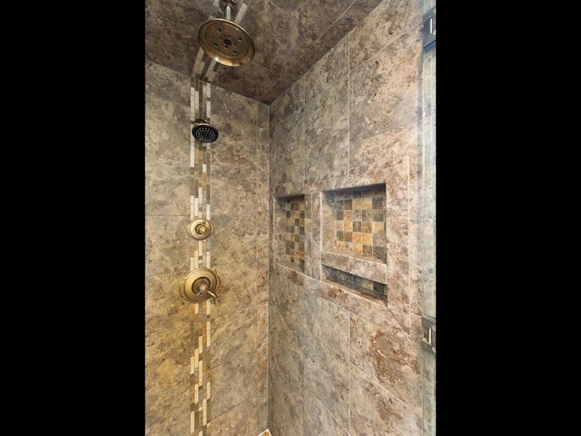 15015 Vermillion Cir NE, Andover, MN 55304 - bathroom view of a tile shower