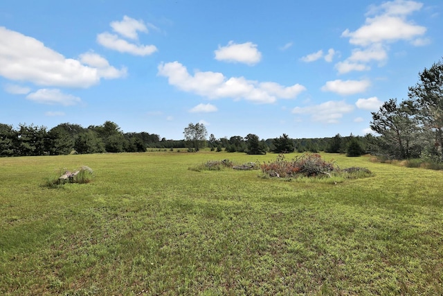 view of yard featuring a rural view