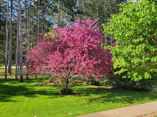 view of property's community featuring a lawn