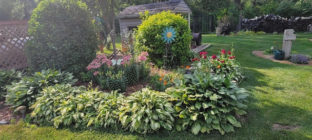 view of yard featuring an outbuilding