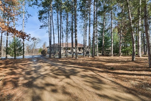 view of road with driveway