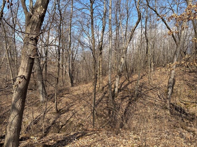 0 County Road Jj, Stockholm, WI 54769 - photo 29