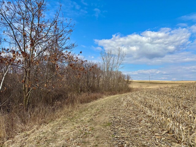0 County Road Jj, Stockholm, WI 54769 - photo 5