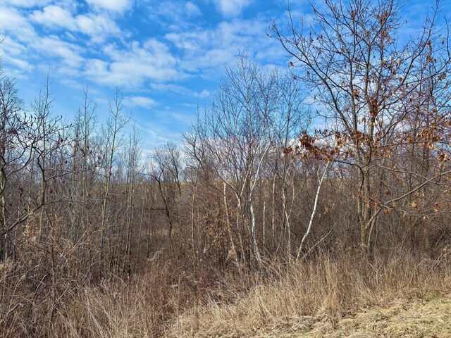 0 County Road Jj, Stockholm, WI 54769 - photo 8