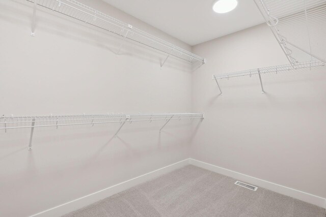 4640 Meadowview Ln, Minnetrista, MN 55331 - walk in closet featuring light carpet