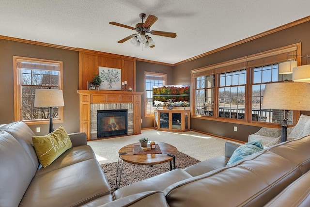 carpeted living area featuring ornamental molding, a ceiling fan, a tiled fireplace, a textured ceiling, and baseboards