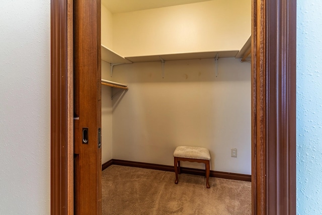 spacious closet featuring carpet