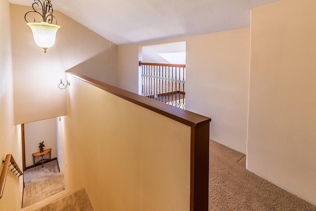 staircase featuring carpet flooring