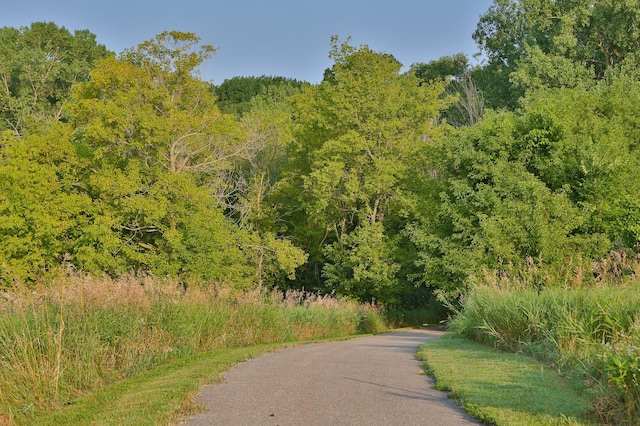 view of road featuring a wooded view