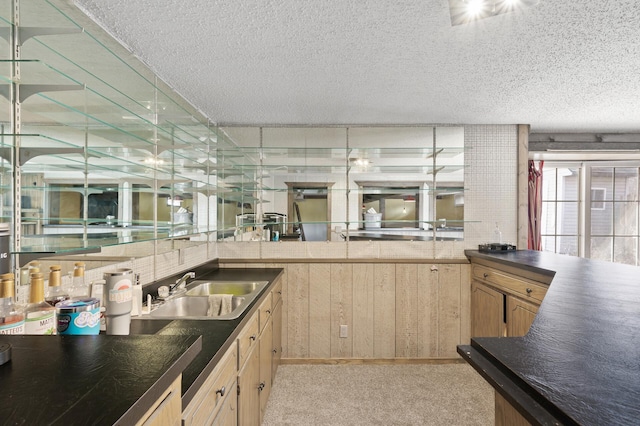 kitchen featuring dark countertops, light brown cabinetry, light colored carpet, a textured ceiling, and a sink