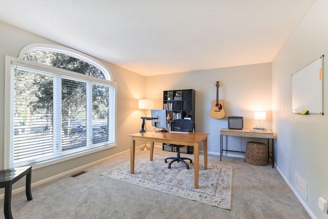 office space with visible vents, baseboards, and carpet floors