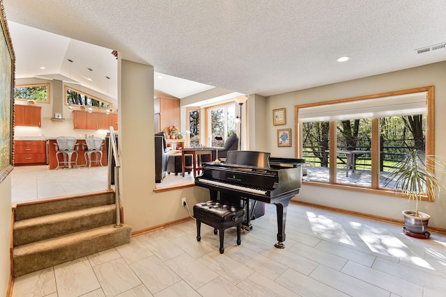 1950 Park Ridge Ct, Chaska, MN 55318 - sitting room featuring plenty of natural light, vaulted ceiling, baseboards, a textured ceiling, and recessed lighting