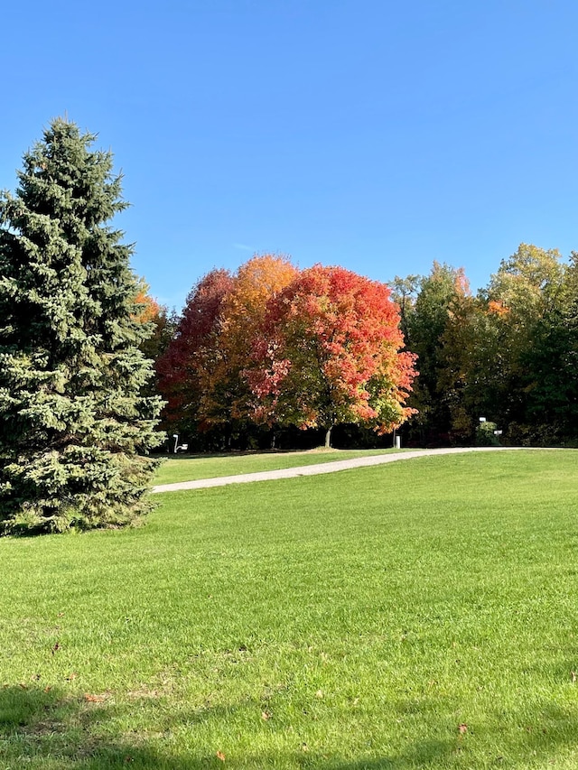 surrounding community with a lawn