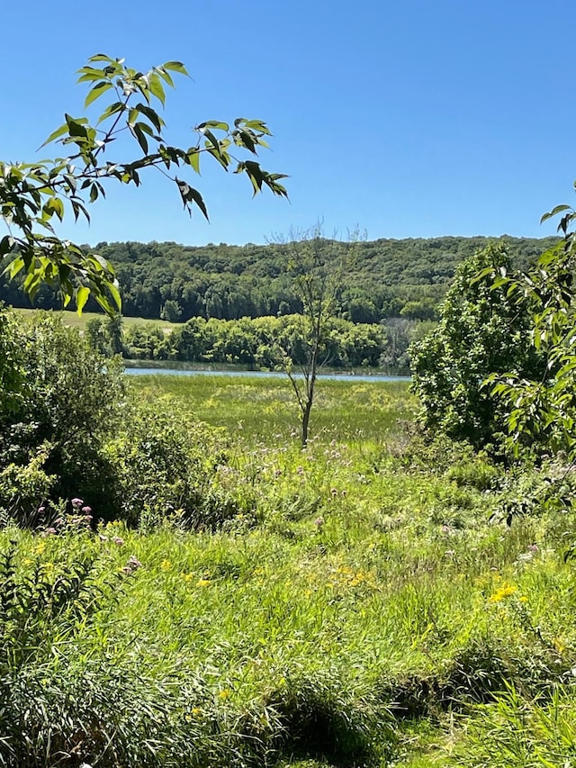 view of nature featuring a water view and a view of trees