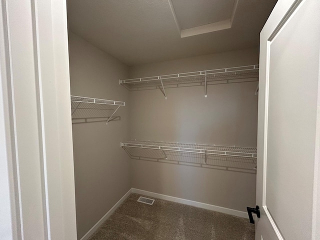 walk in closet with visible vents and carpet flooring