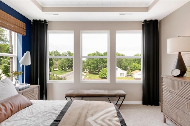 bedroom featuring a tray ceiling, light carpet, and multiple windows